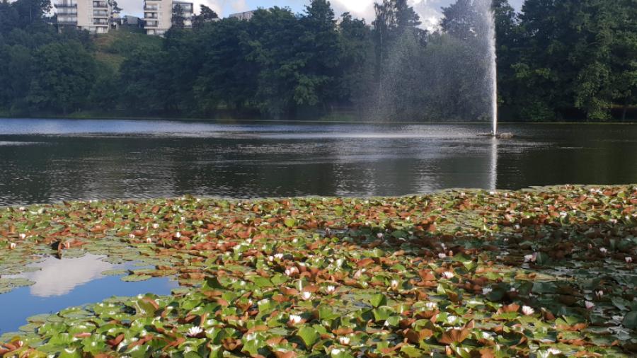 Lötsjön