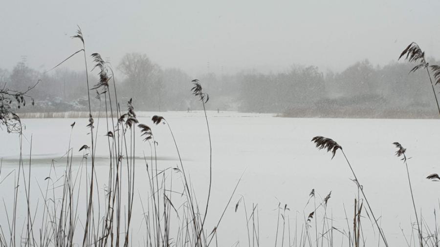 Råstasjön